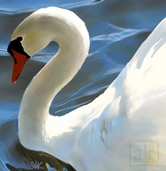 Click to View Full Size